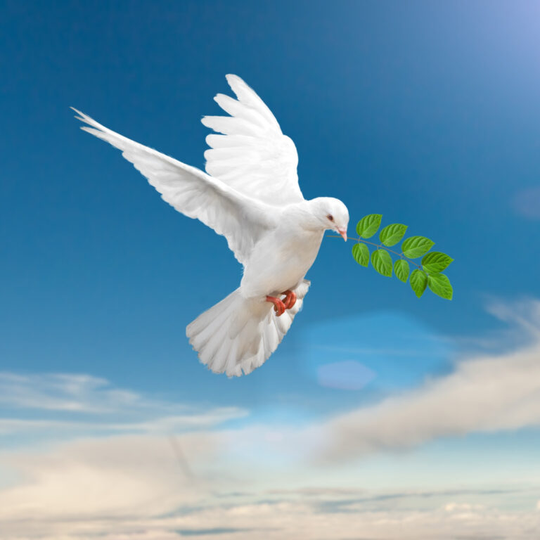 41069964-1714092439235-06710a52450d7-768x768 Podcasts no seu aplicativo